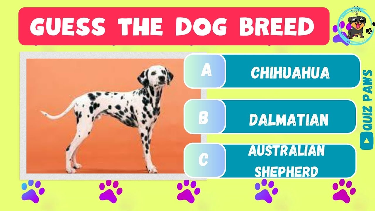 Guess The Dog Breed - Dog Breed Quiz | Dog Lovers Quiz 🐶 🐾 #dogbreed #doglover