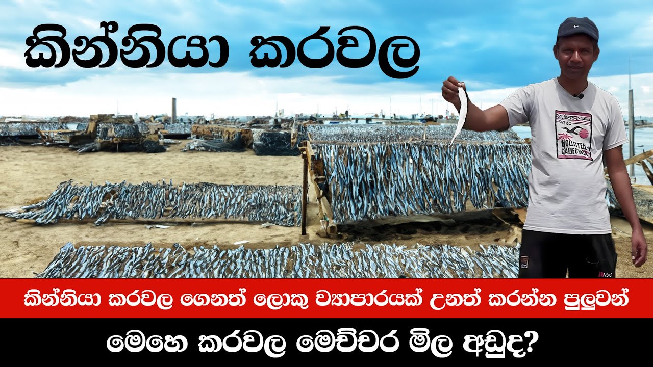 kinniya karawala - Srilanka කින්නියා කරවල