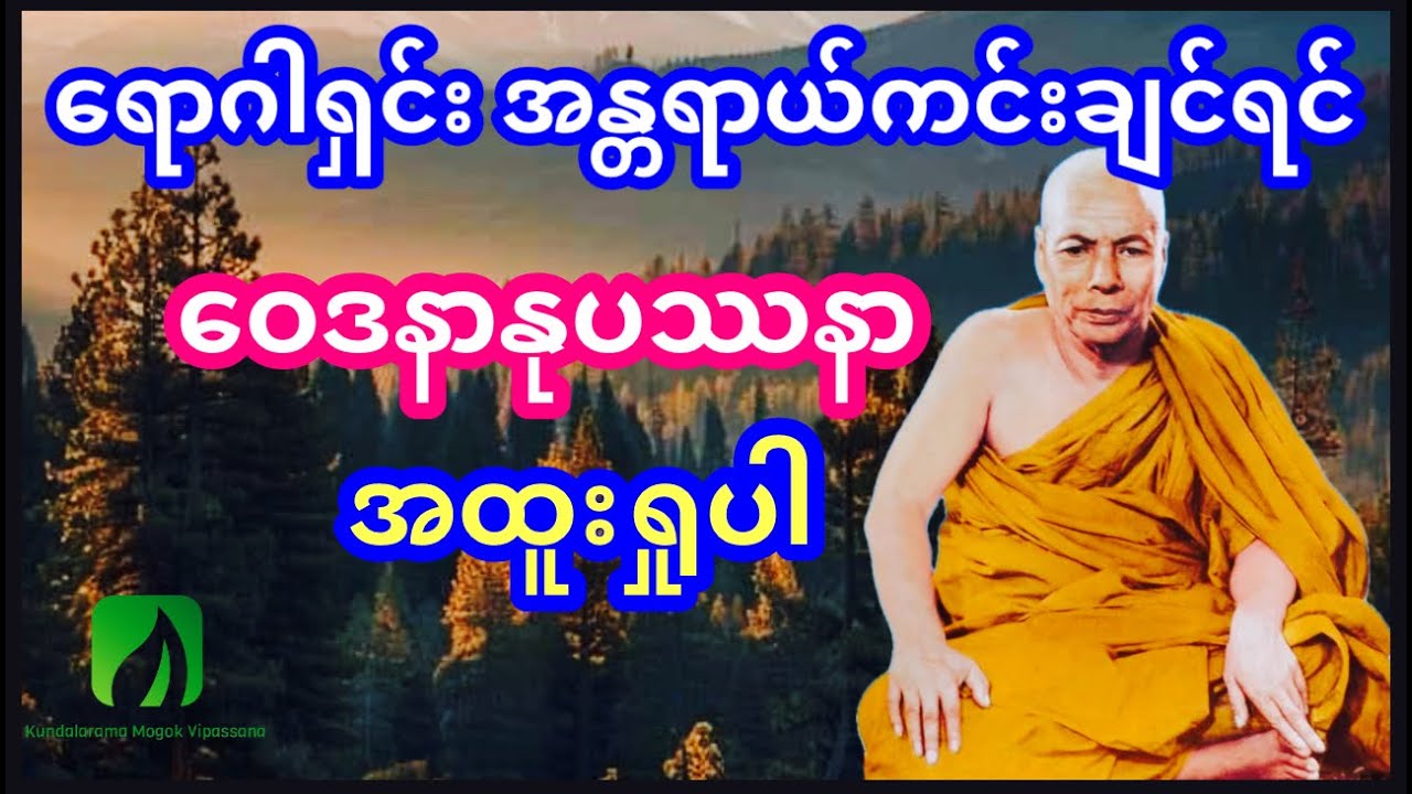 ရောဂါရှင်း အန္တရာယ်ကင်းချင်ရင် ဝေဒနာနုပဿနာ အထူးရှုပါ ရဟန္တာ ကျော်ကြား၊ မိုးကုတ်ဆရာတော်ဘုရား