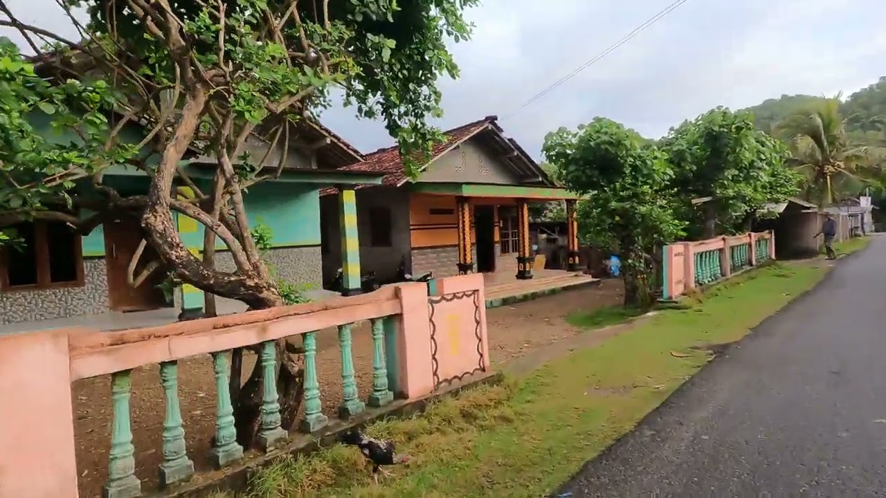 Walking pelosok pedesaan di Pringkuku, Pacitan