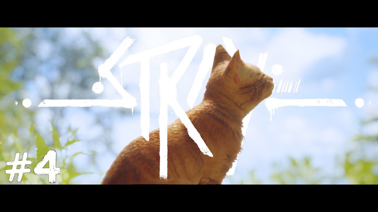 #last 大冒険だった気がしている-Stray-