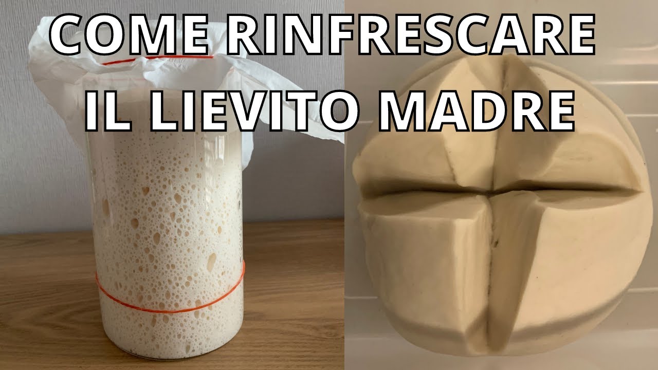 Come rinfresco il Lievito Madre prima di usarlo