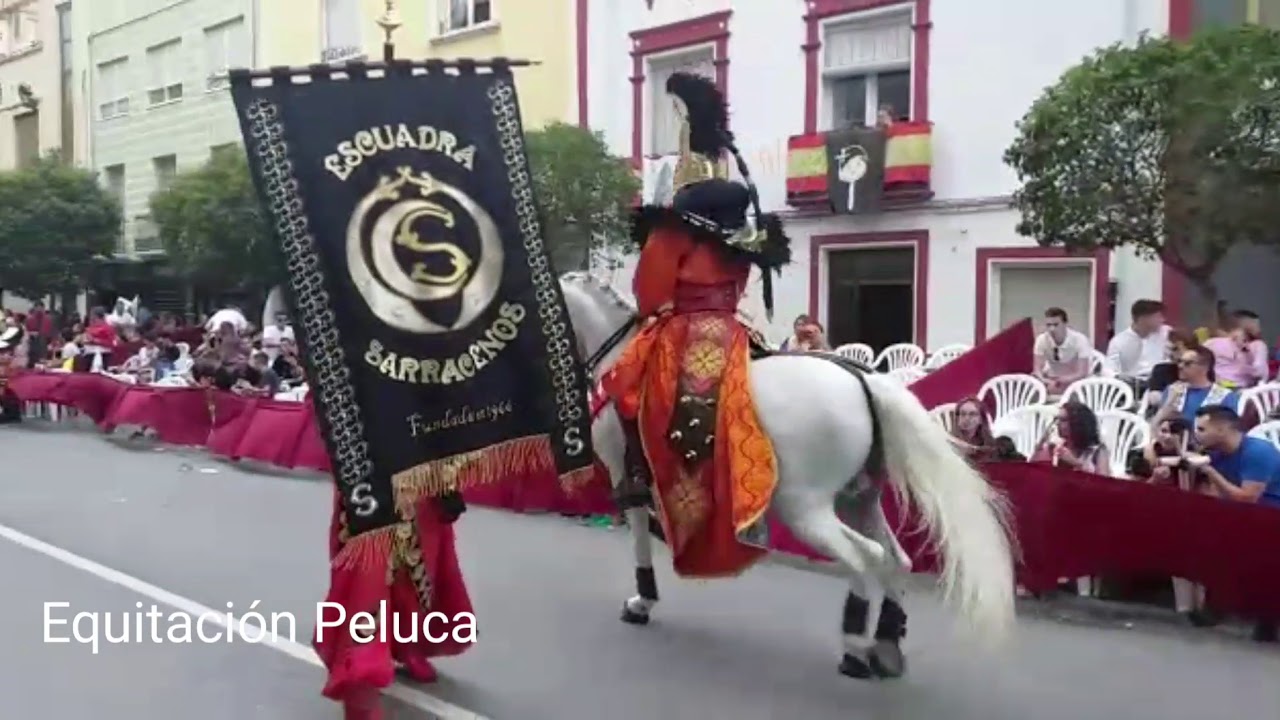 Equitación Peluca Villena Escuadra Sarracenos