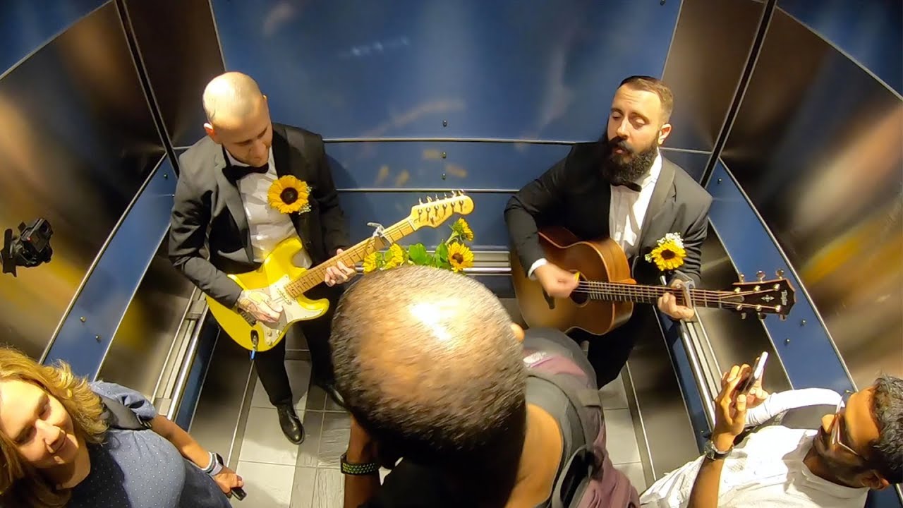 This Wild Life - You Changed Everything [Official Video]