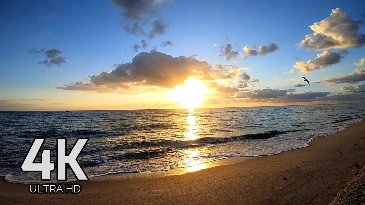 4K SUNRISE ON THE BEACH 60 FPS ULTRA HD MIAMI BEACH SOUTH BEACH RELAXATION AΩ