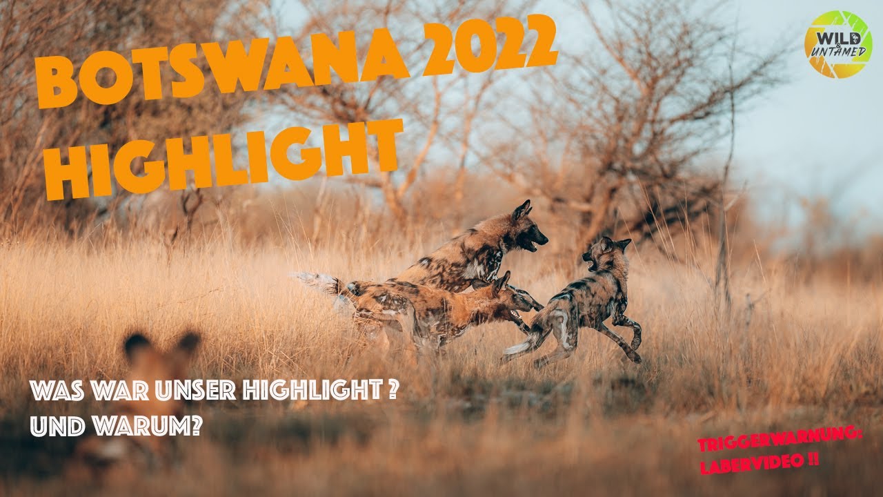 Botswana Safari mit Fabian Fopp - Was waren unsere Highlights der Reise?