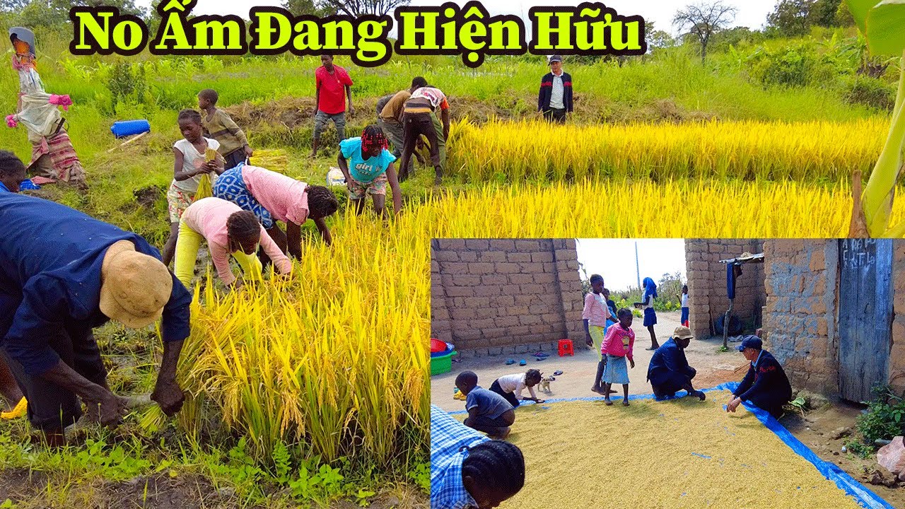 Quang Dũng || Niềm Vui Khó Tả Khi Chứng Kiến Kinh Tế Hộ Gia Đình Khao Khát Thoát Đói
