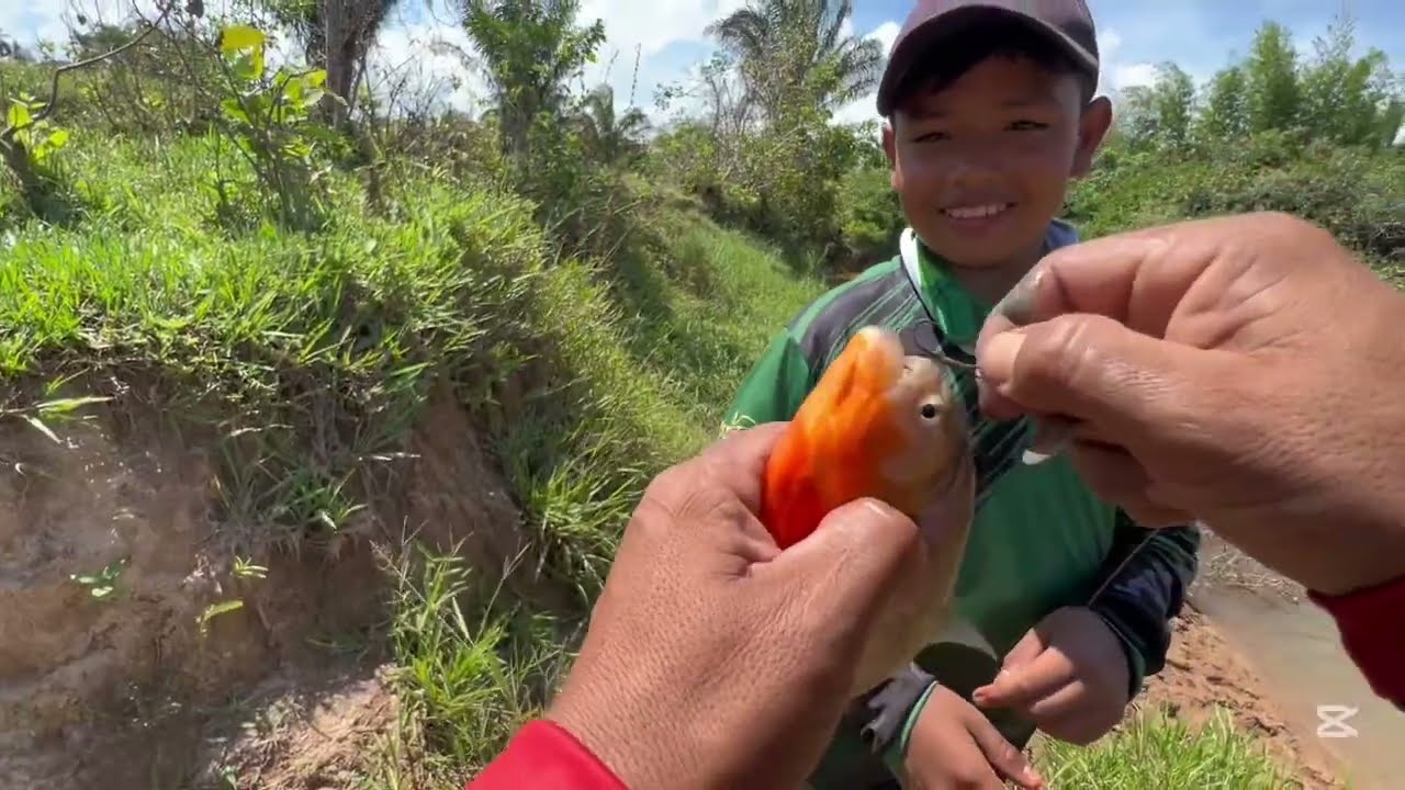 Amigos casi no se puede pescar por la cantidad de caribes 