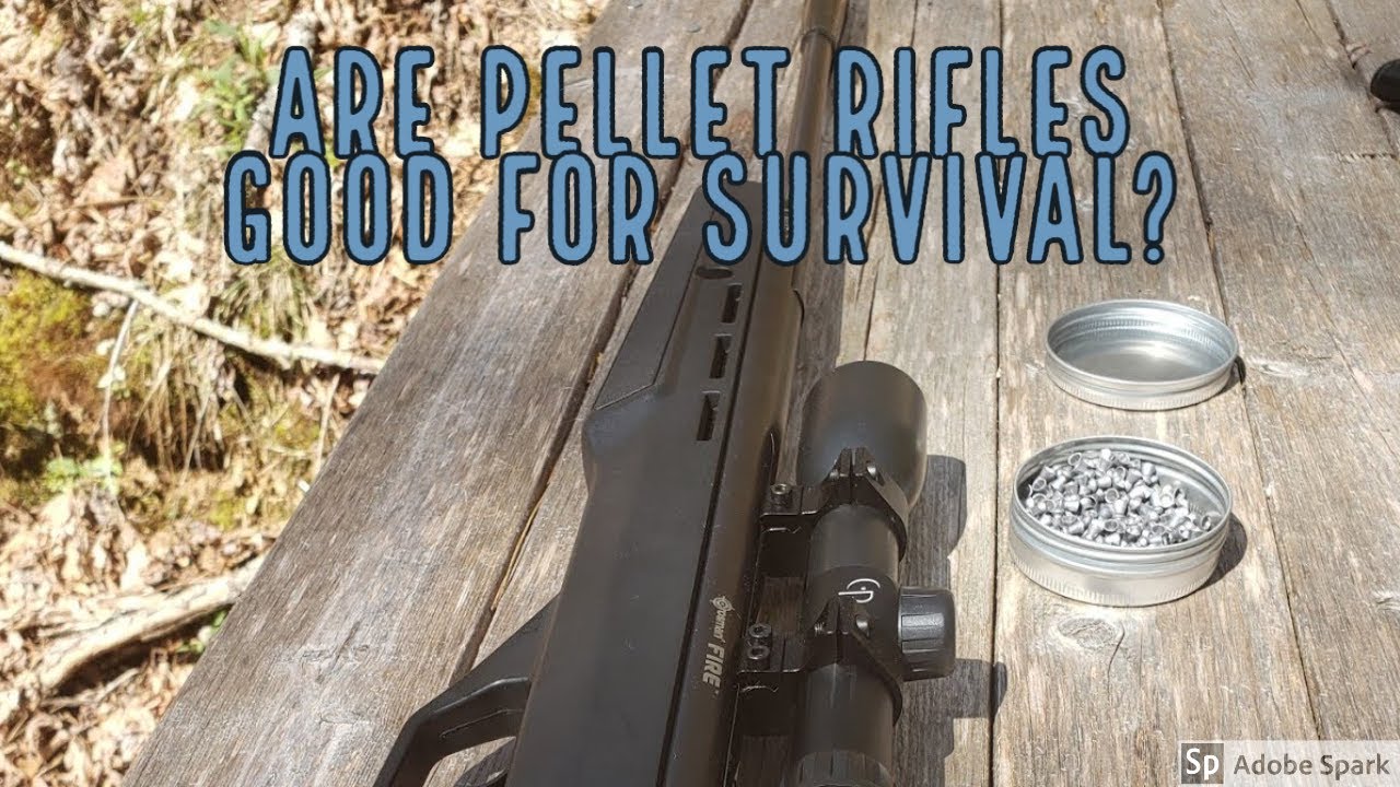 Are Pellet Rifles for Survival a Good Idea?
