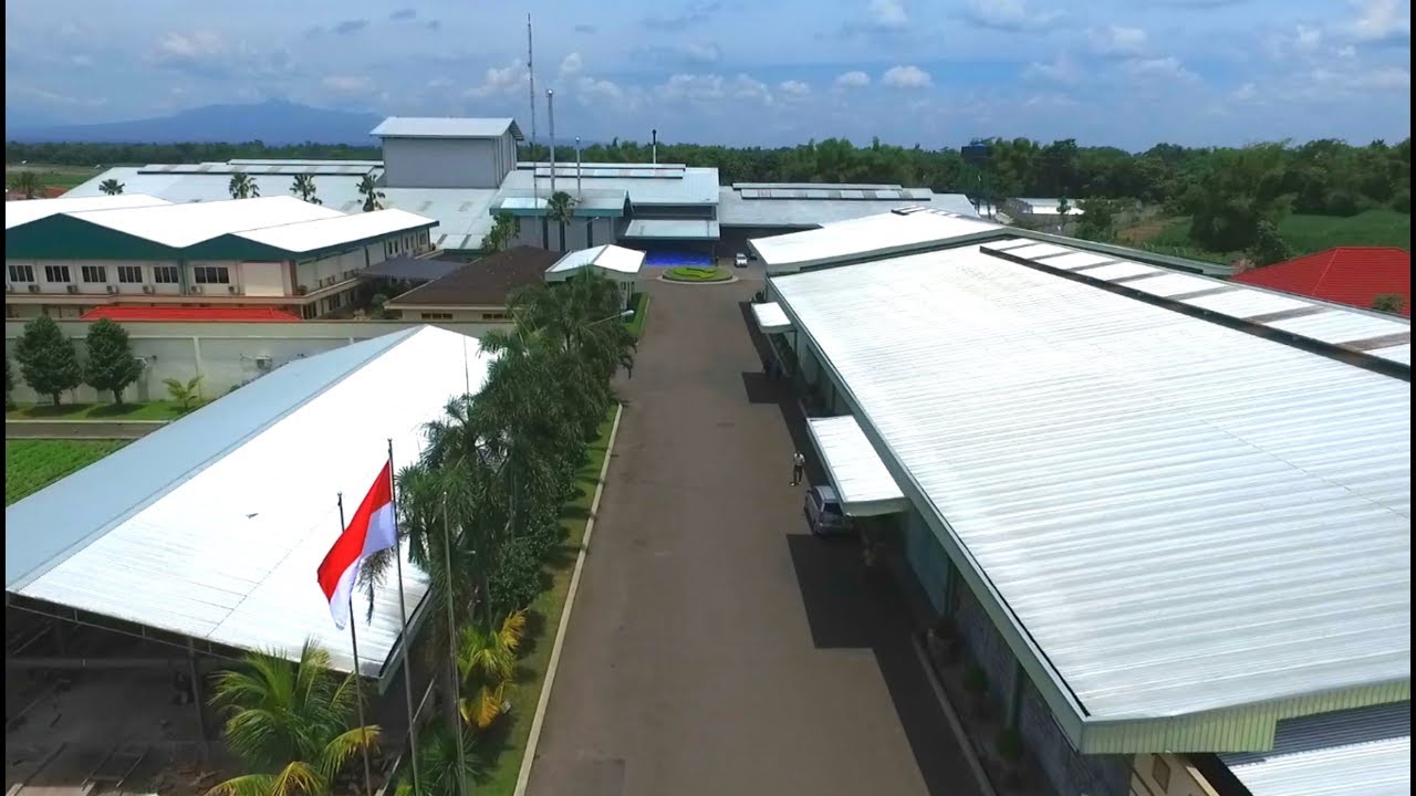 BENIH PERTIWI TV - Company Profile Benih Pertiwi (PT. Agri Makmur Pertiwi)