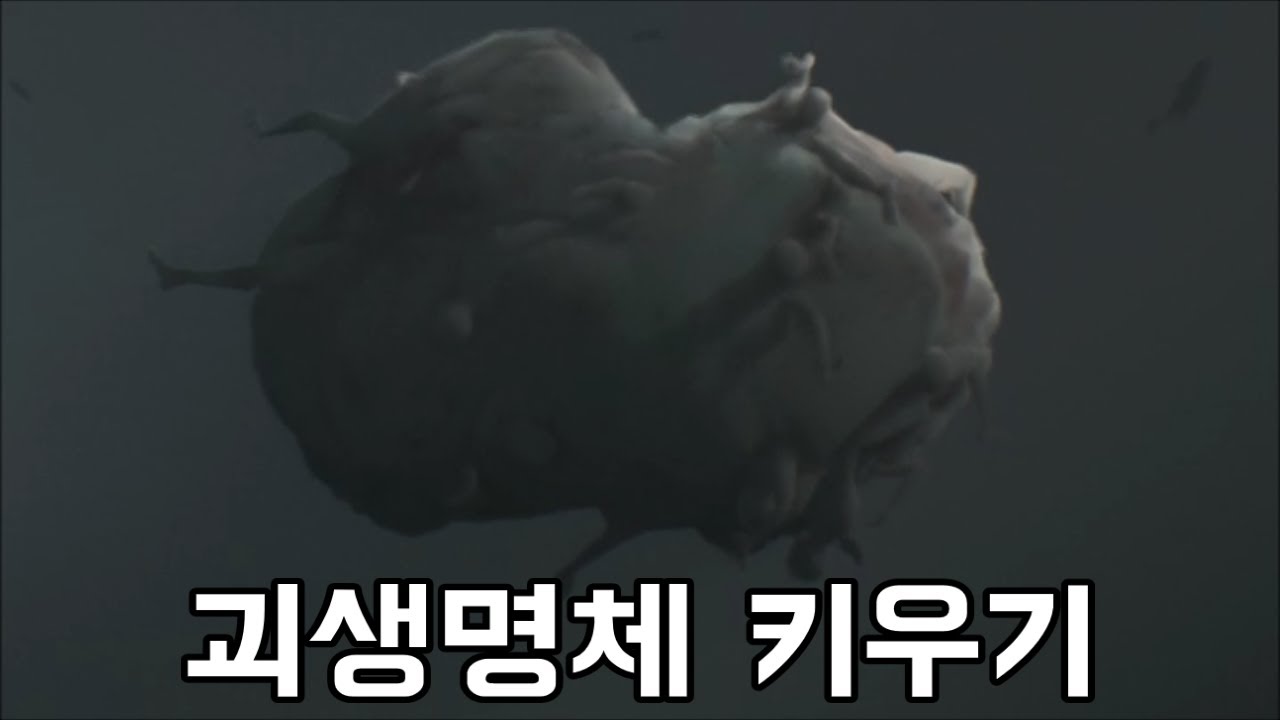 괴생명체 키우기ㅋㅋㅋㅋ 너무 꿀잼이라 편집한게 2시간;;