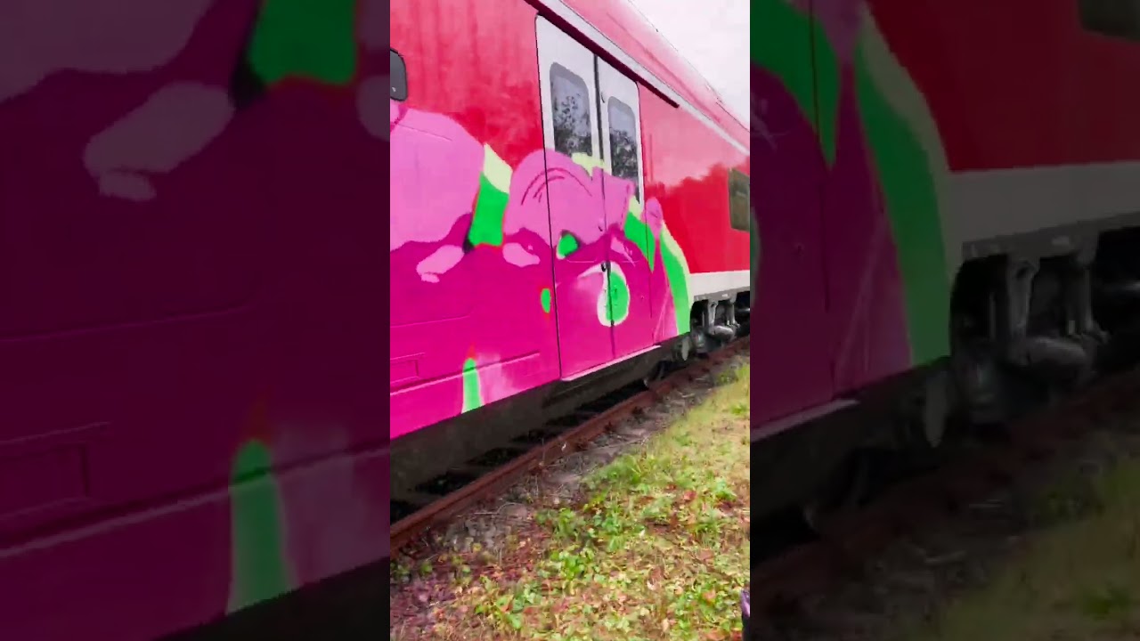 #n&uuml;rnberg#graffiti#graffitiartist#crews#wsi#acm#trainwriting