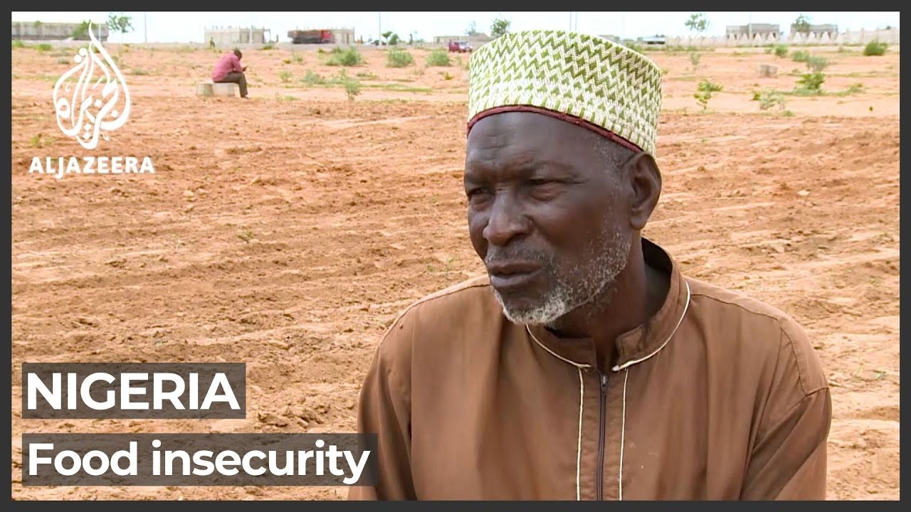 Food shortage in Nigeria: Farmers in north face ongoing threat
