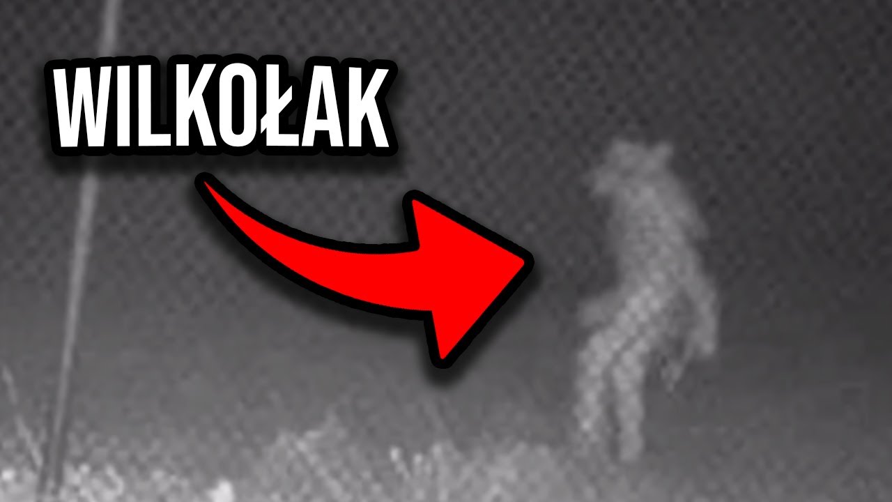 Wilkołak Nagrany w ZOO! - 5 Paranormalnych Nagrań!