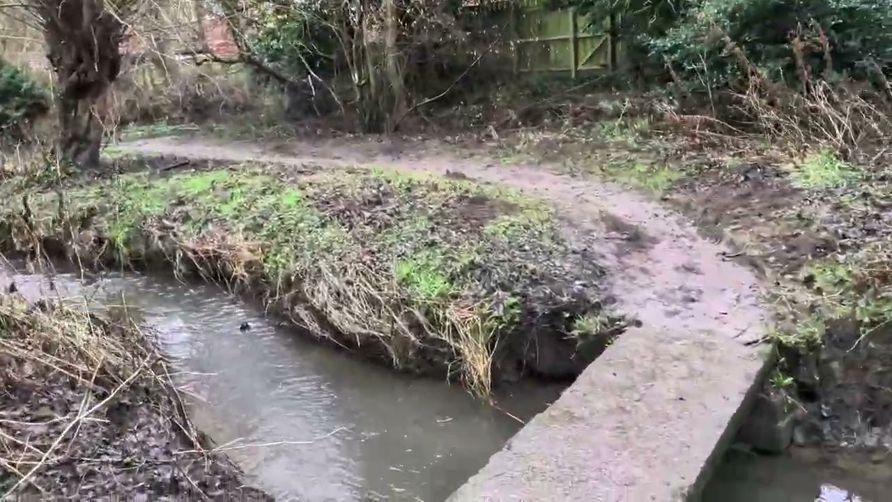 A nice walk near Thirsk in winter