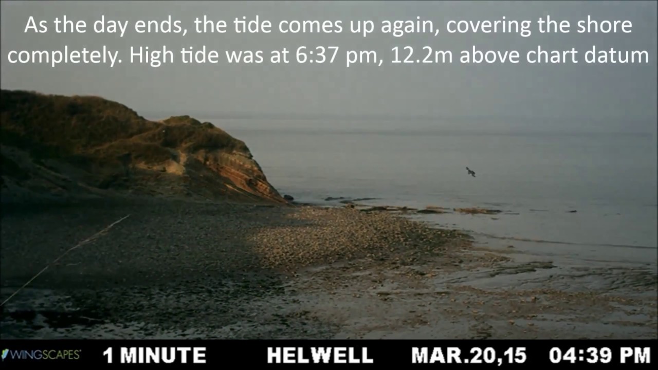 Helwell Bay Extreme Spring Tide Timelapse