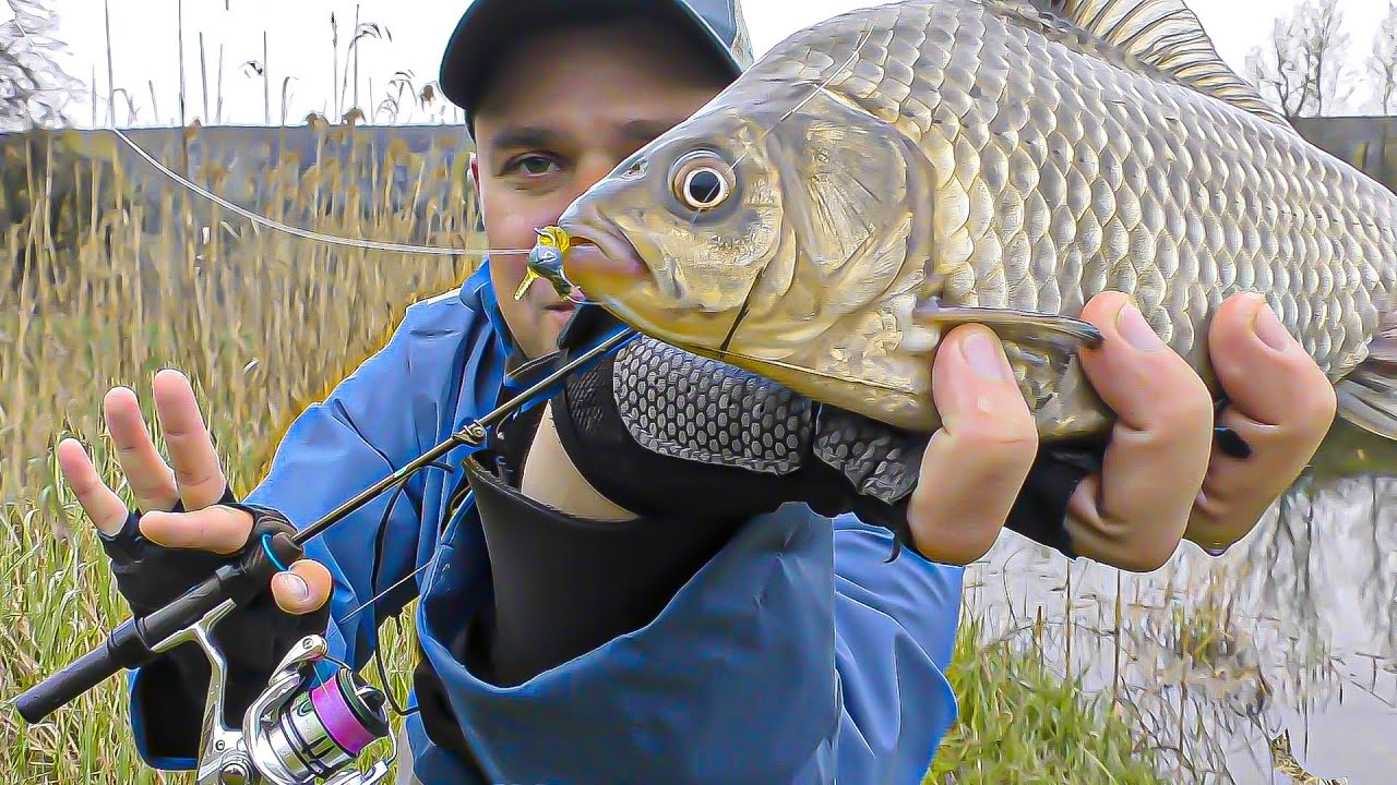 7 ВИДІВ РИБ 🐟🐠🦈 для НАНО ДЖИГУ не МЕЖА!!!