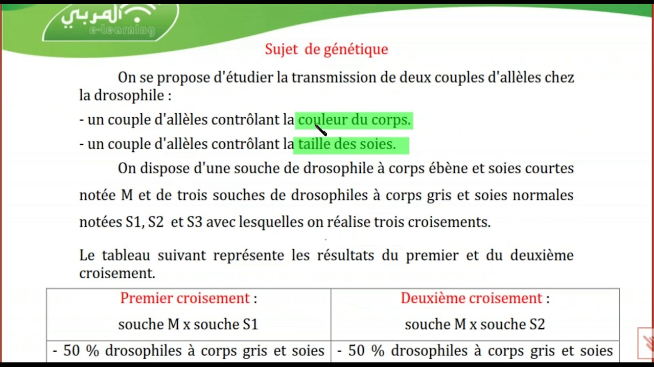 Bac Sciences : Sujet Corrigé de Génétique Humaine - Génétique des Diploïdes