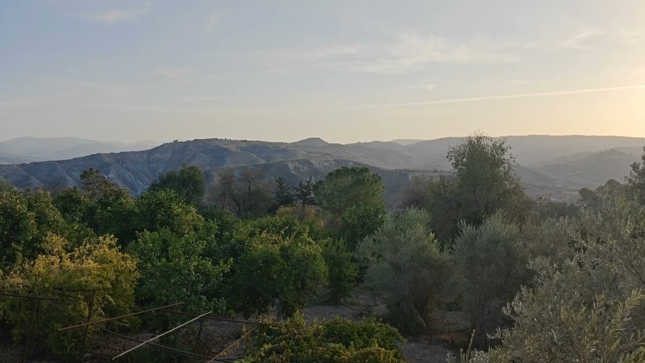 Quiet Cyprus Morning After Sunrise – Orchard, Birds and Distant Mountains