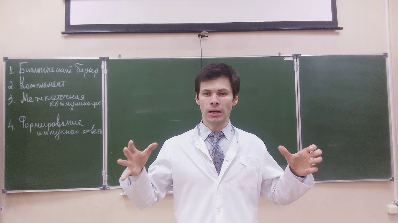 Иммунитет. Часть 2. Как 