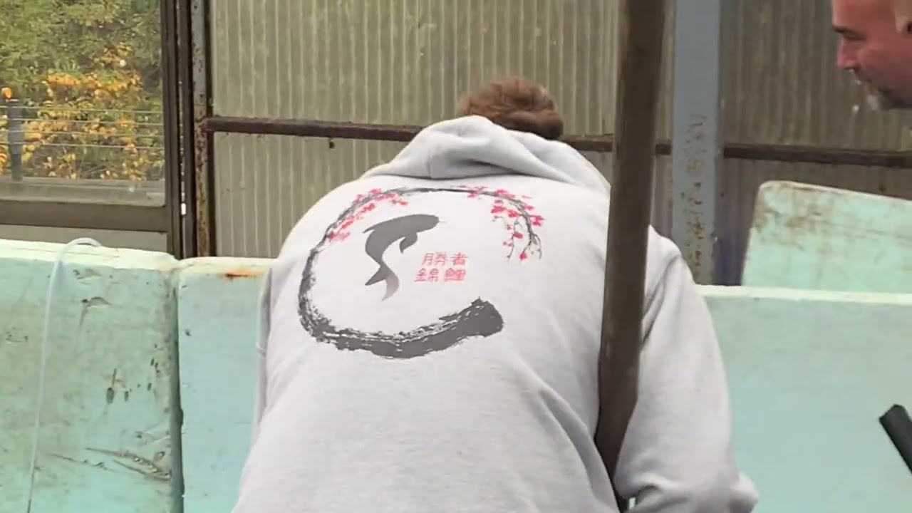 Masters of Nishikigoi # 5 - Maruhiro koi farm