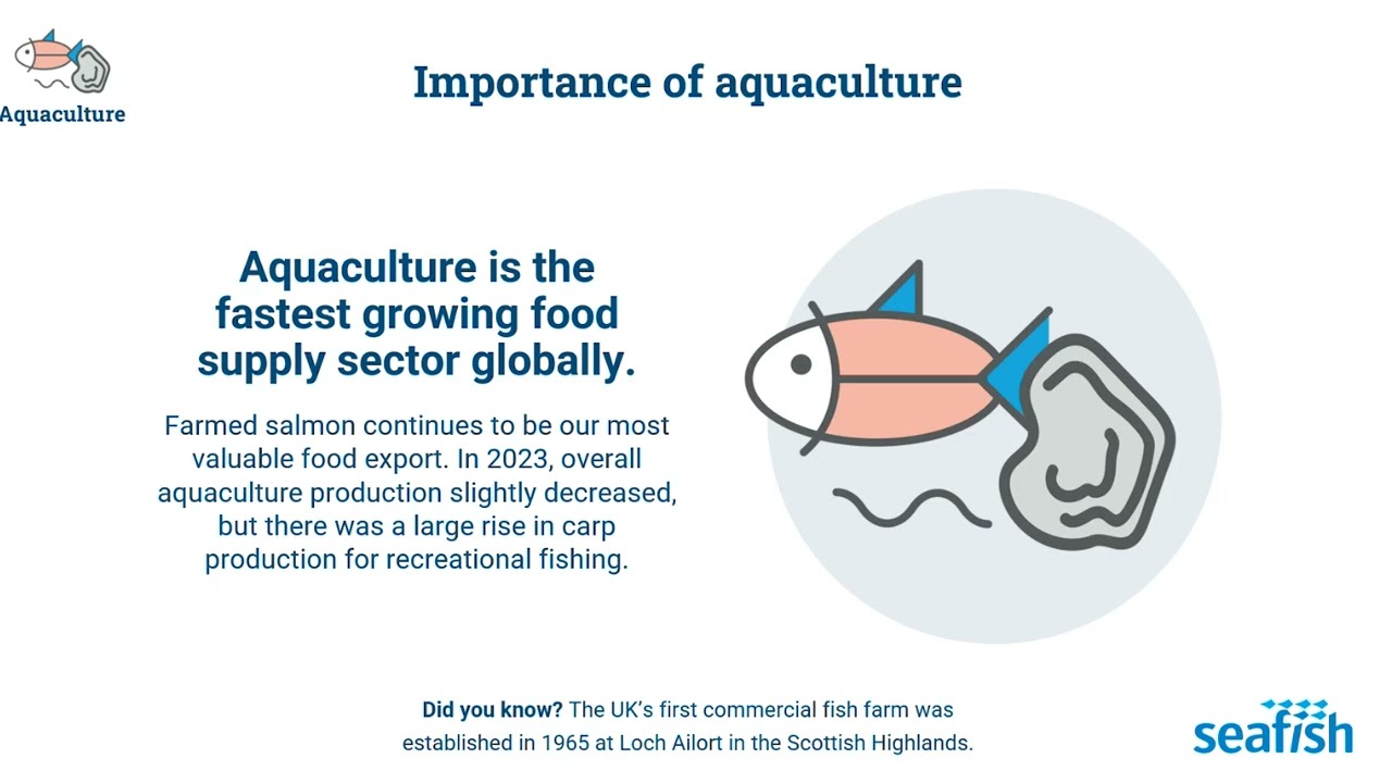 Seafood in Numbers 2024/2025