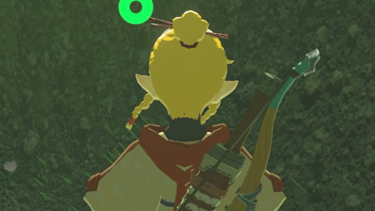 先玩王泪再玩野炊的感觉be like #zelda #The Legend of Zelda: Breath of the Wild #塞尔达传说旷野之息 