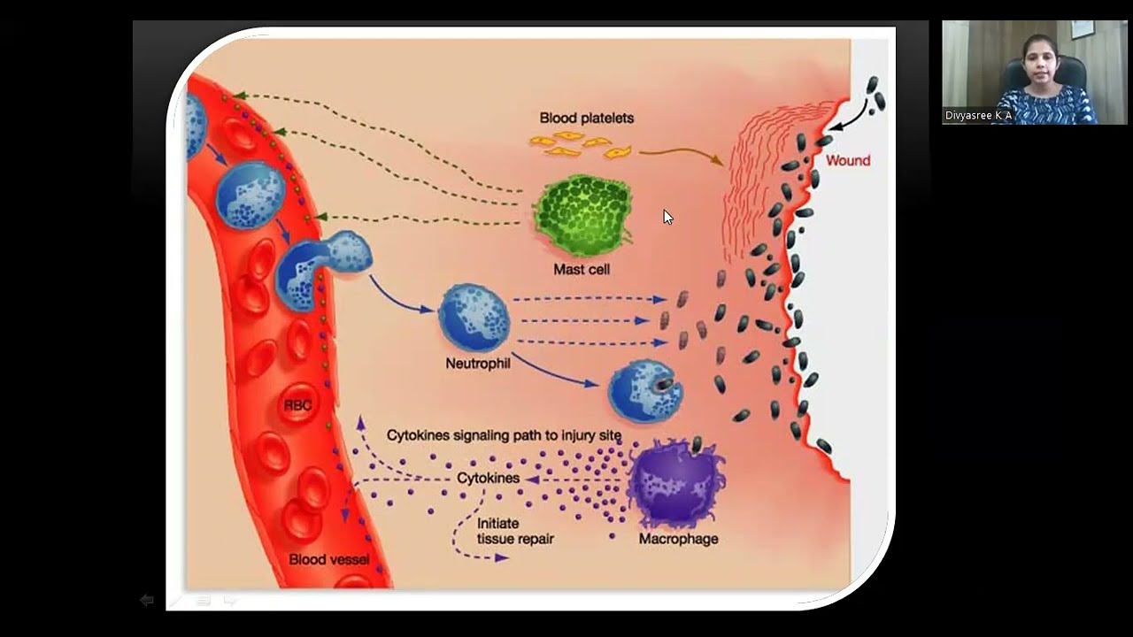 MICROBIAL INTERACTION/ / DR DIVYASREE / DEPT. OF PERIODONTICS, ROYAL DENTAL COLLEGE