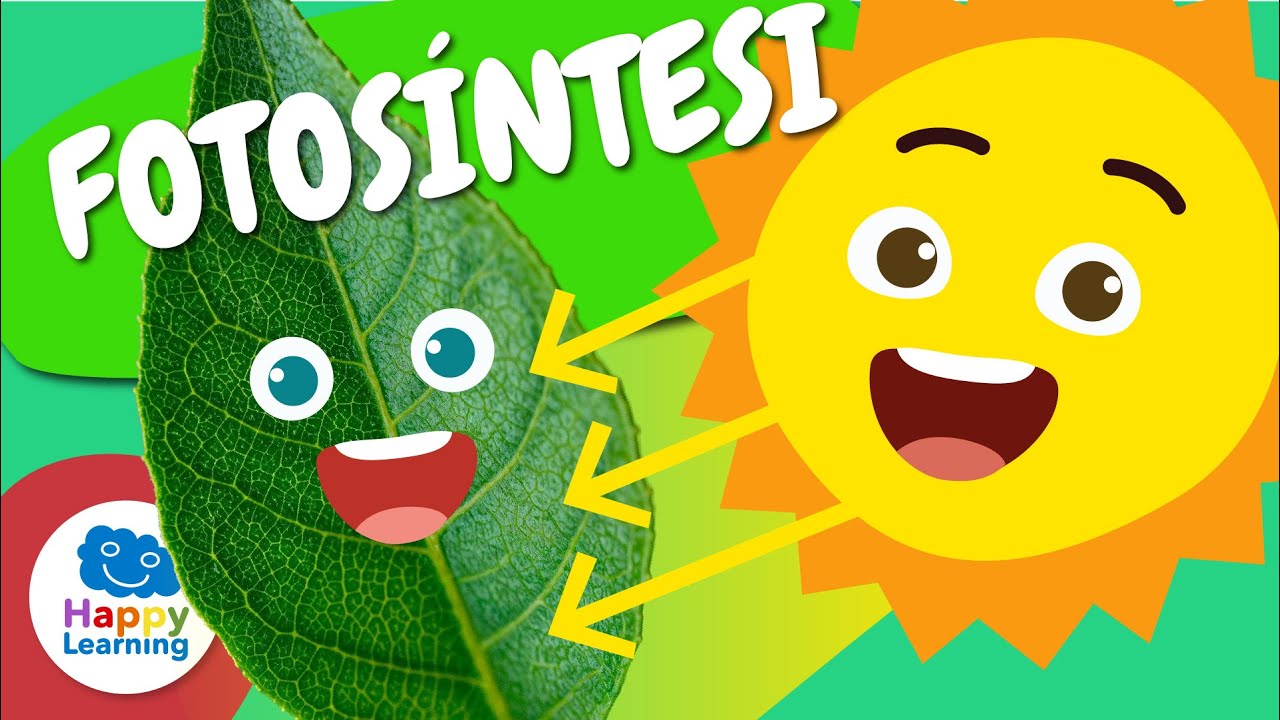 🌱☀️ Quant en saps de la FOTOSÍNTESI? | Vídeos educatius per a nens en llengua catalana