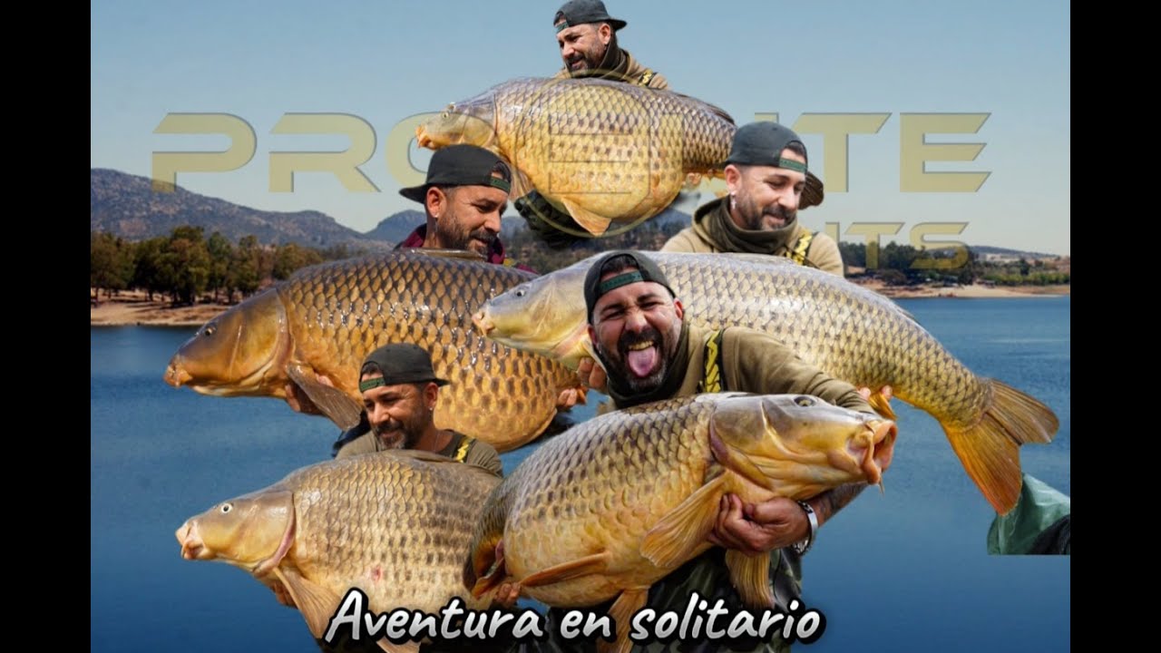 Carpfishing   AVENTURA EN SOLITARIO