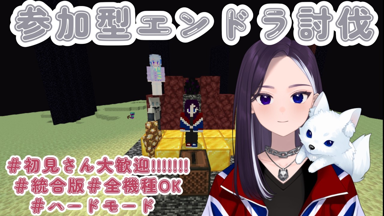 【参加型】エンドラ討伐をしないと1日が終われない #初見さん大歓迎  #マイクラ 【LiccaLin/#VTuber】
