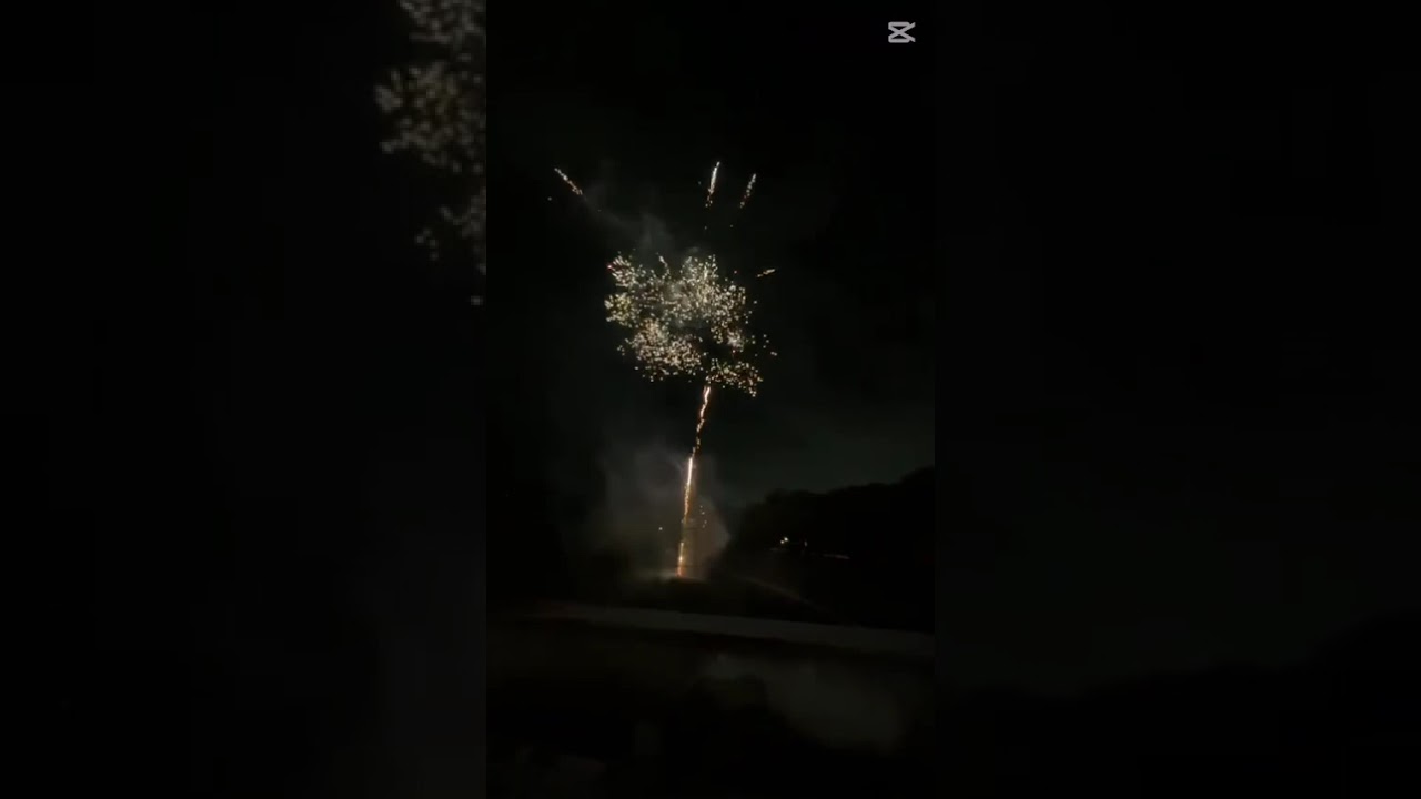 #fireworks #japan #travel #toyokawa #viral #viralvideo
