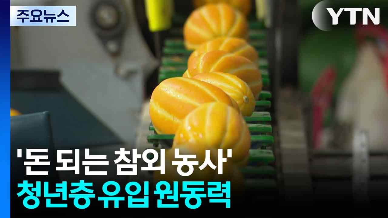’돈 되는 참외 농사’...청년층 유입 원동력 / YTN