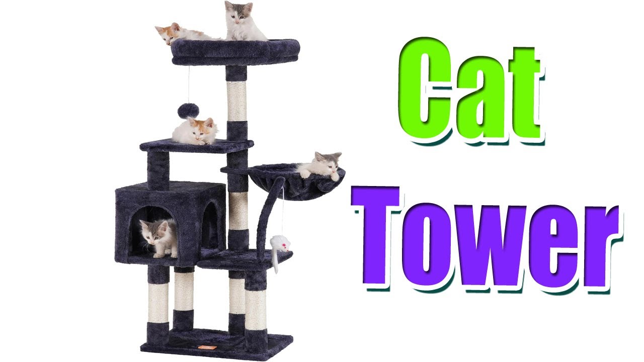 Top 4 Best Cat Tower Review 2024