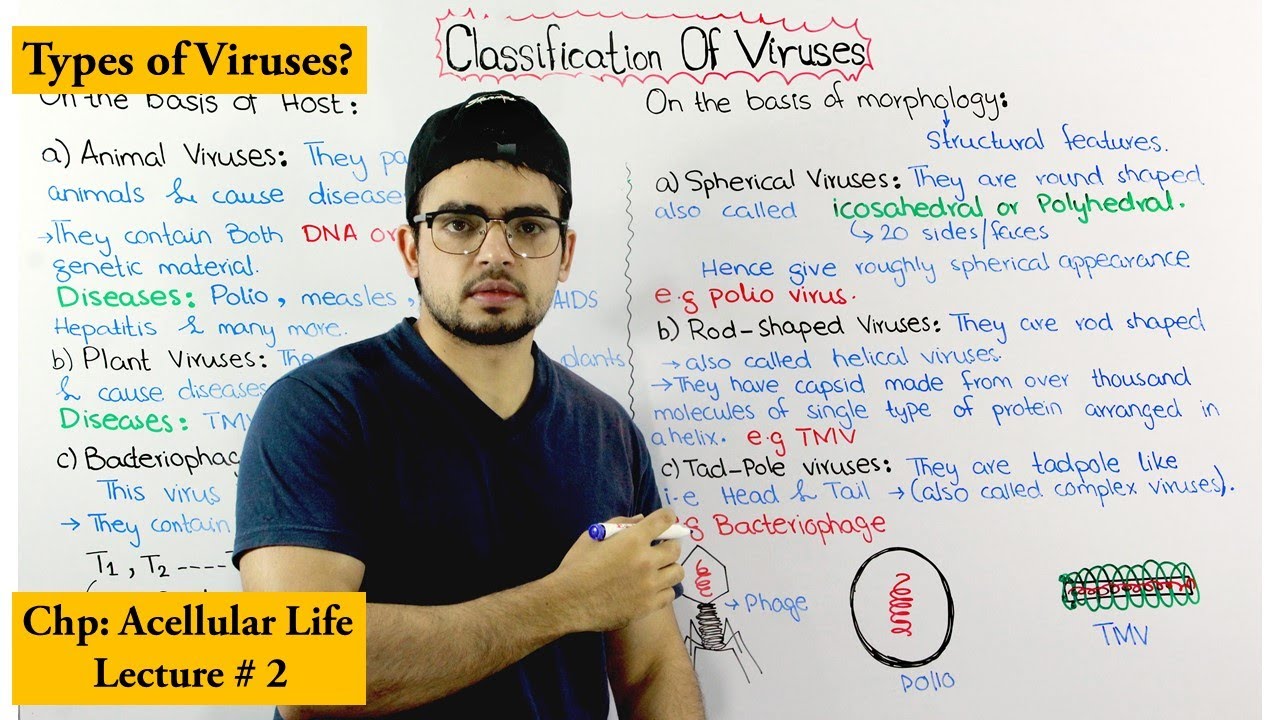 Classification of viruses on the basis of Host and Morphology
