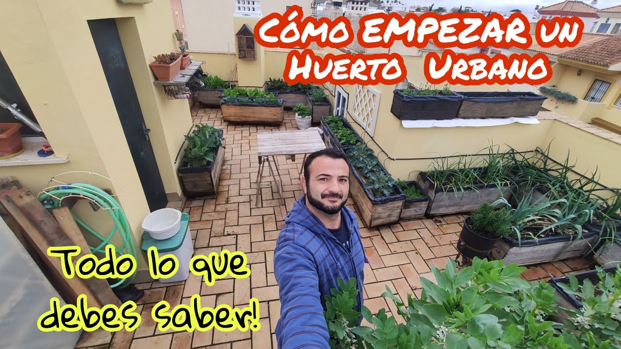 COMO iniciarte en un HUERTO URBANO ,todo lo que debes SABER