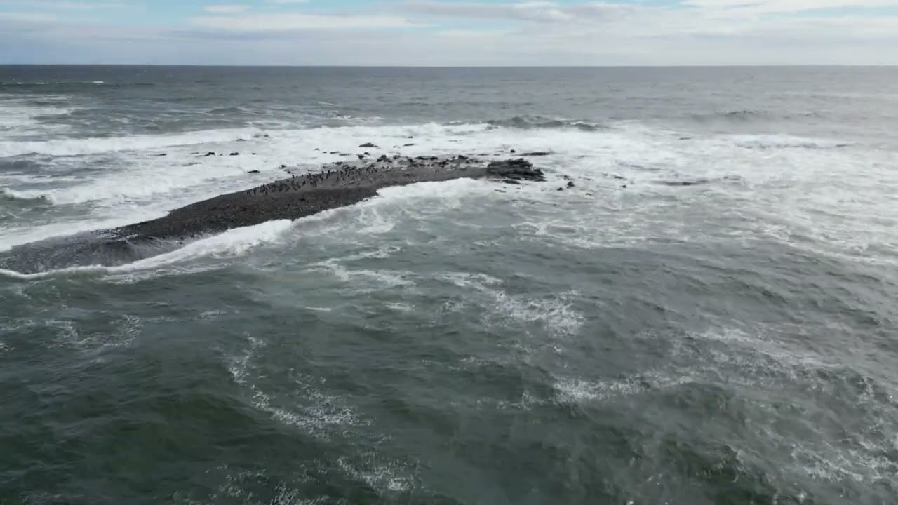 Beach Island, Biddeford Pool ME, Sept 22, 2024 1 of 2