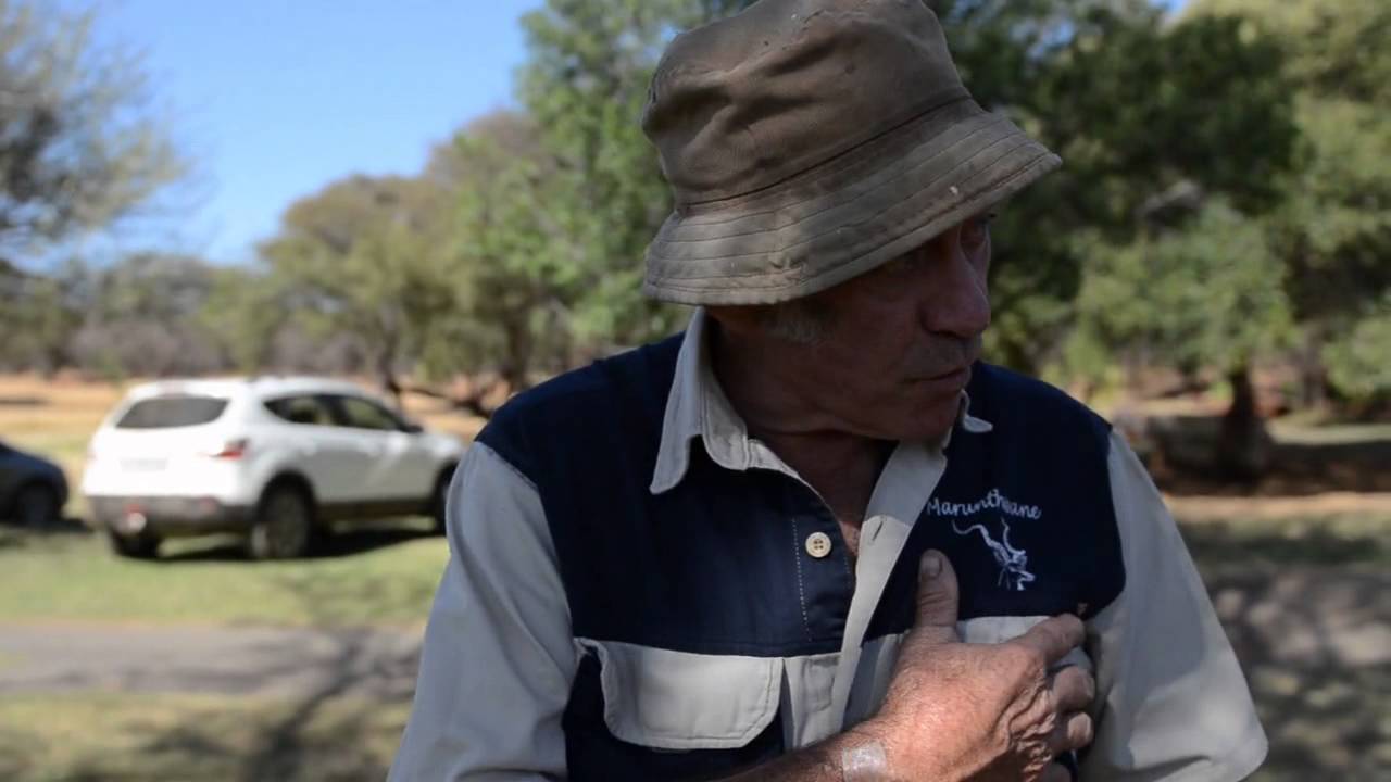 ’n Vers met skop… die Donkieboer oor mampoer