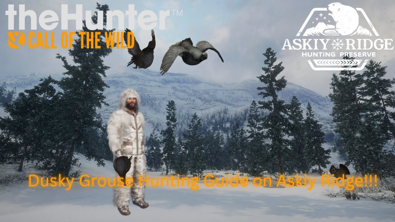 Dusky Grouse Hunting Guide on Askiy Ridge – Best Spots & Tips  COTW