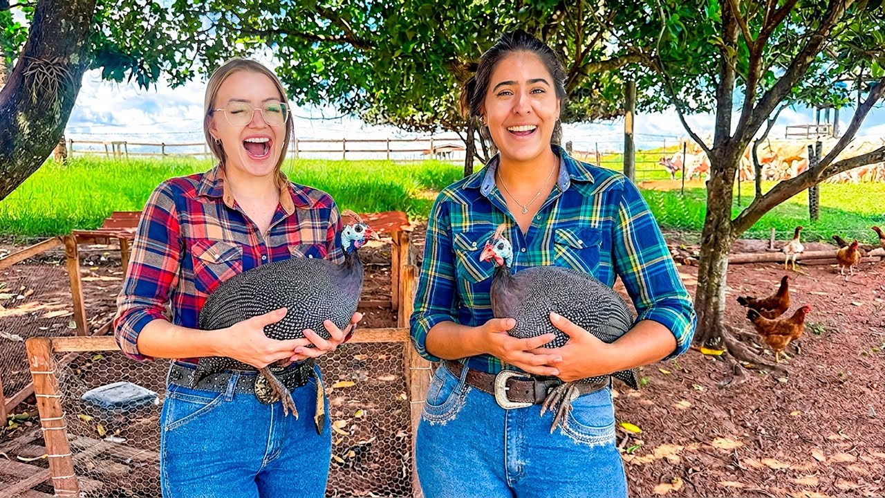 SURPREENDI A FAZENDA COM DUAS GALINHAS-DA-ANGOLA! 🐔🔥