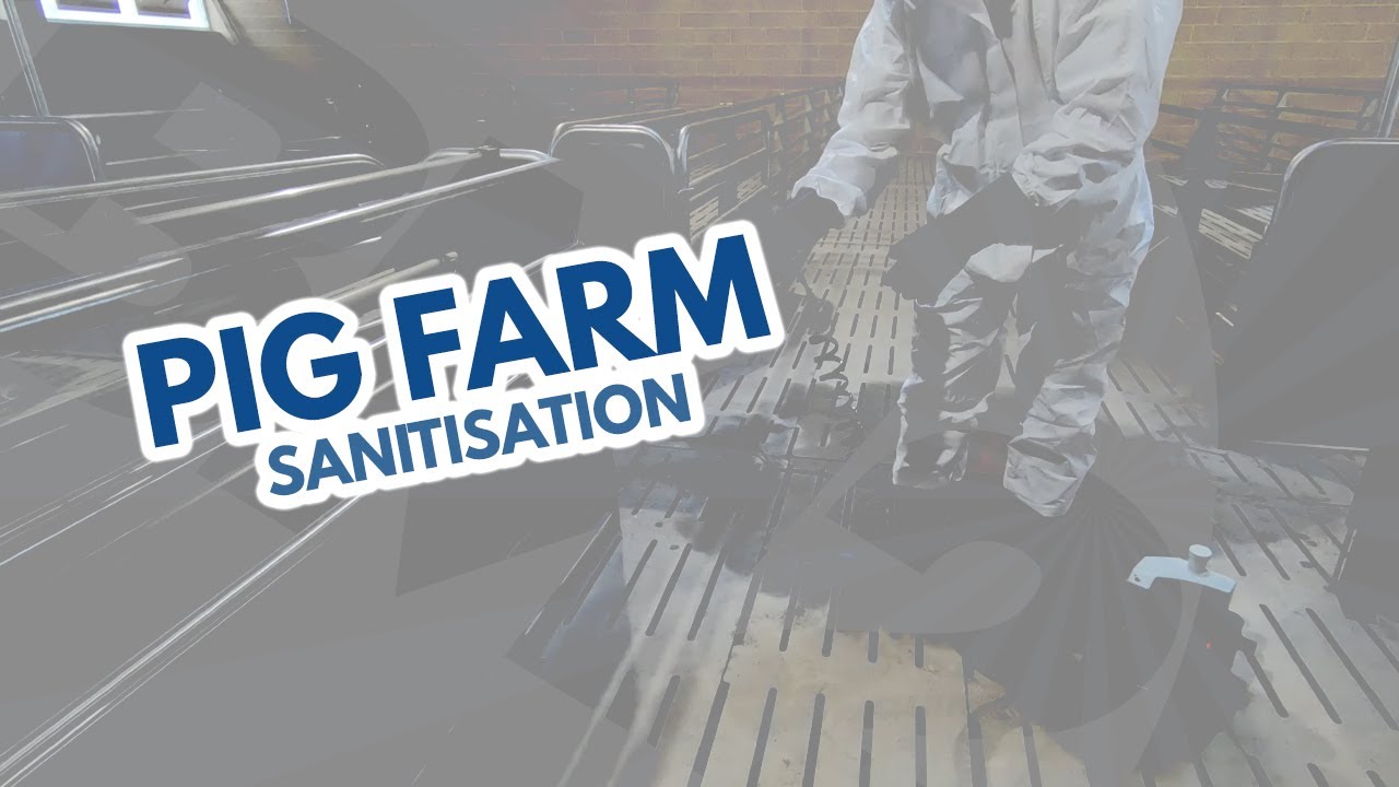 PIG FARM SANITISATION
