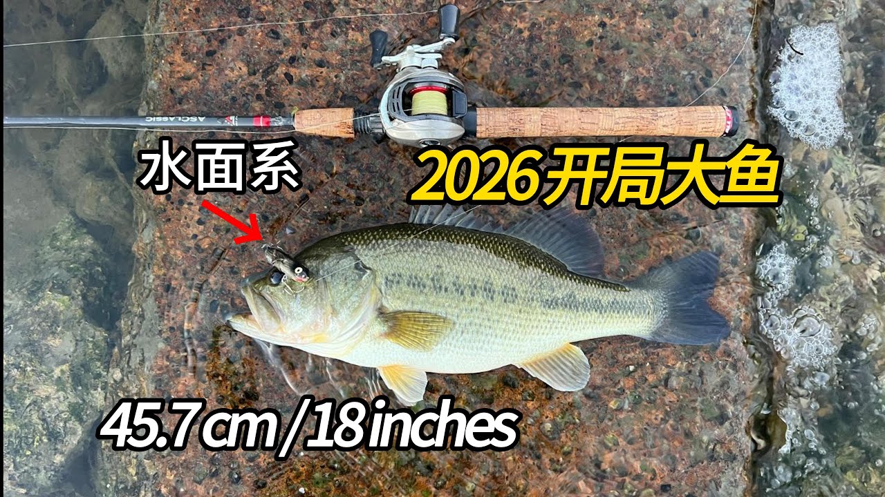 【探钓圣安东尼奥河】水面系“之字狗”，再立新功！