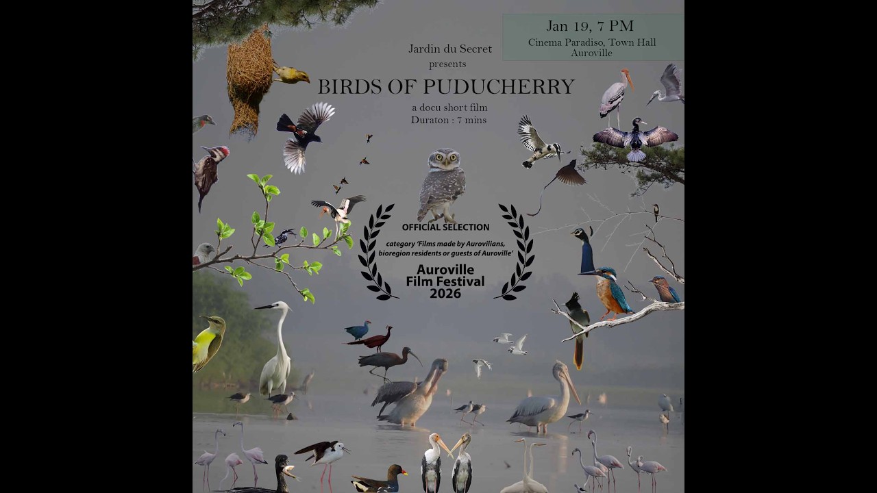 Birds of Puducherry