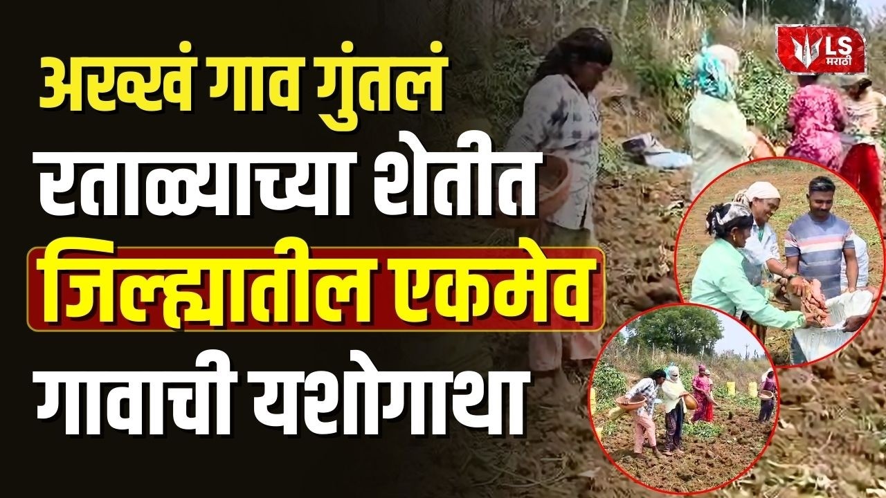 Gadchiroli | रताळ्याचा उत्पादनात गुंतलेलं एकमेव गाव