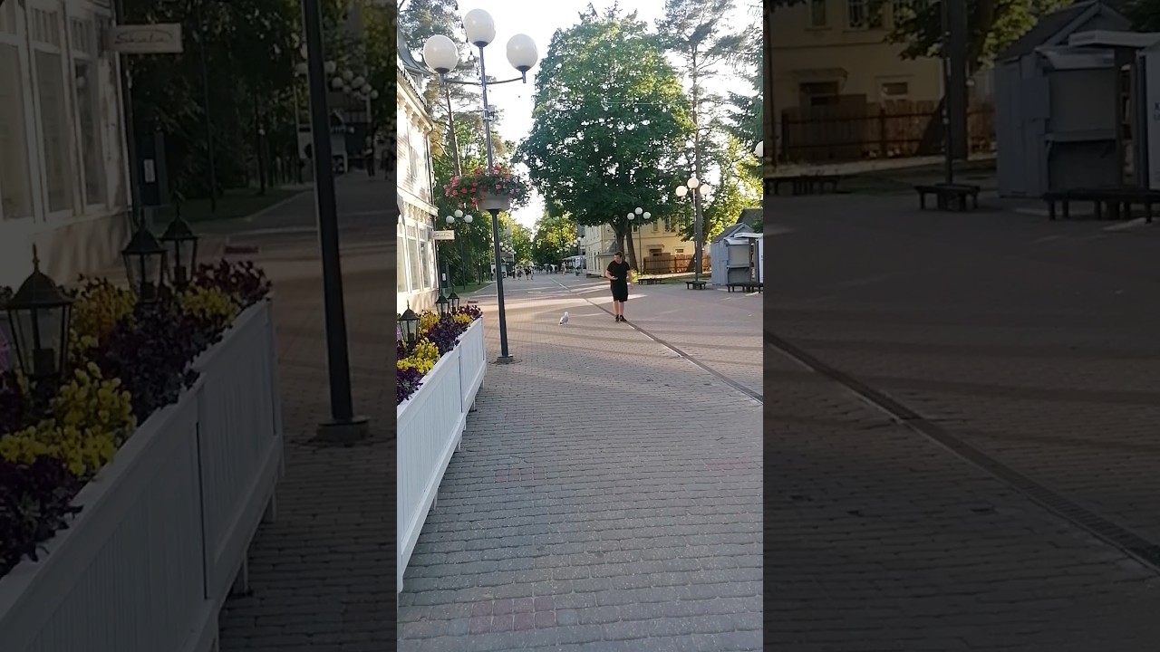 Юрмала. Jūrmala. Jomas iela. Dzintari #jurmala #юрмала #travel #природа #отдых #shorts #atputa