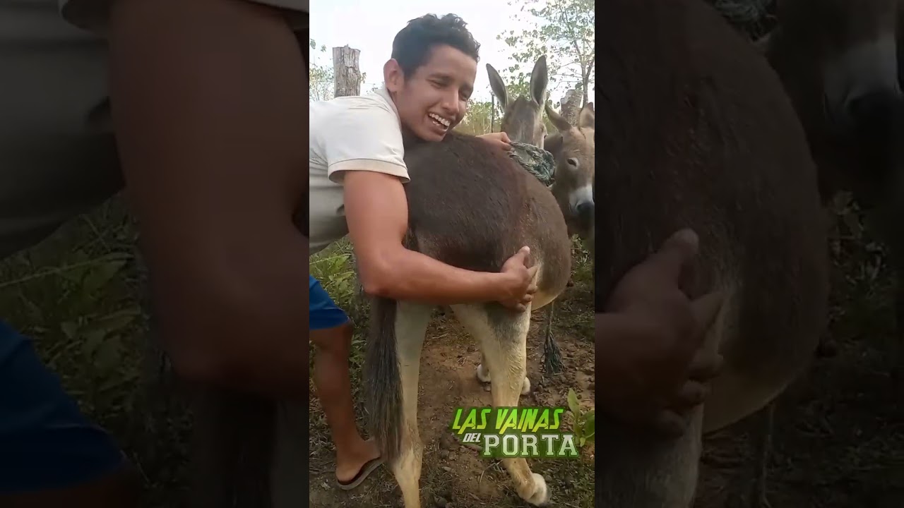 El come 🐎burra 🤣🤣🤣🤣