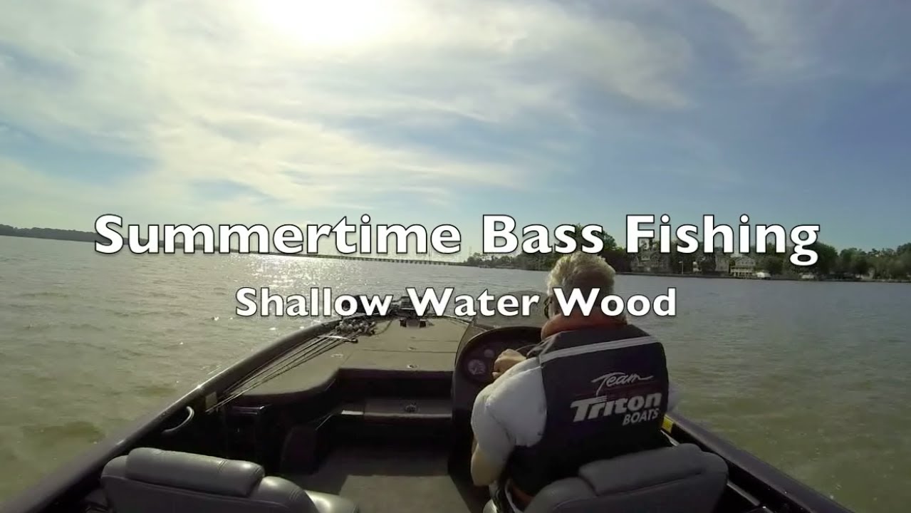 Summertime Bass Fishing Shallow Water Wood