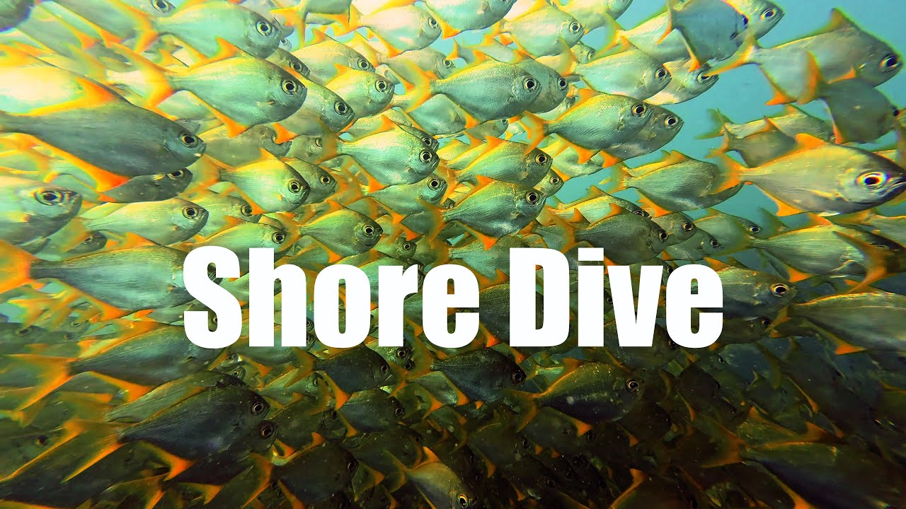 Perth Scuba Shore Dive