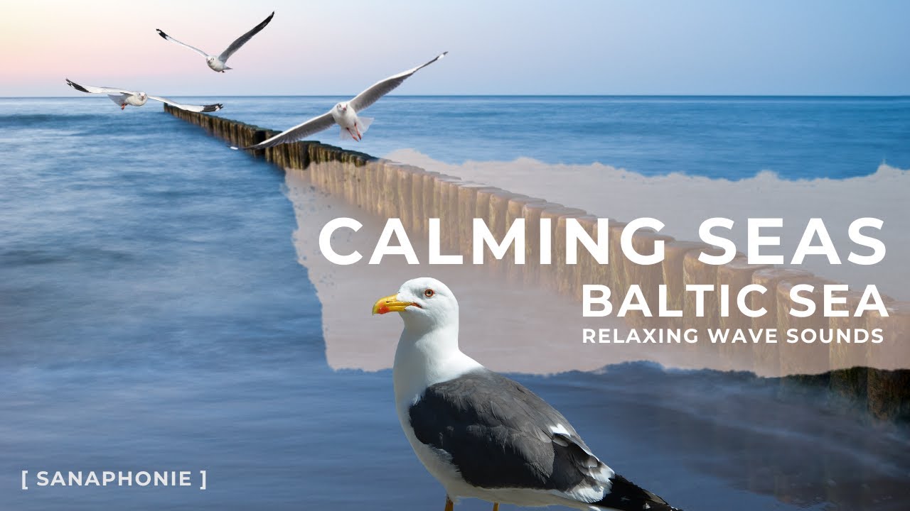 Calming Seas - Baltic Sea - Relaxing wave sounds