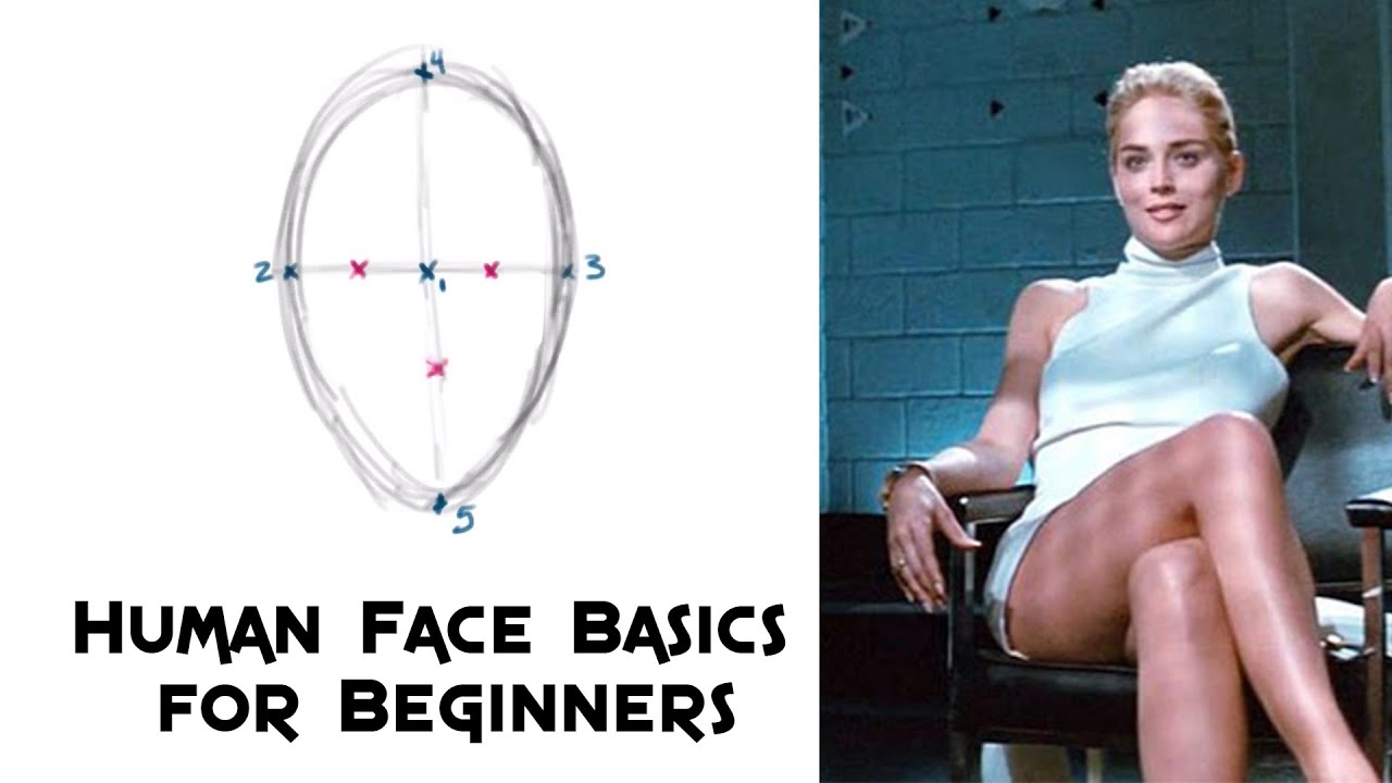 Basics Instinct - Beginners' Guide to Basic Human Face Proportions (Front View)